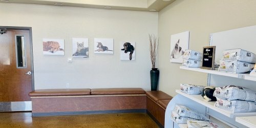 Dog vet in Chandler, AZ