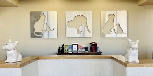 Chandler Gilbert Animal Hospital in Chandler, AZ